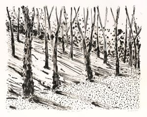 австралийска графика