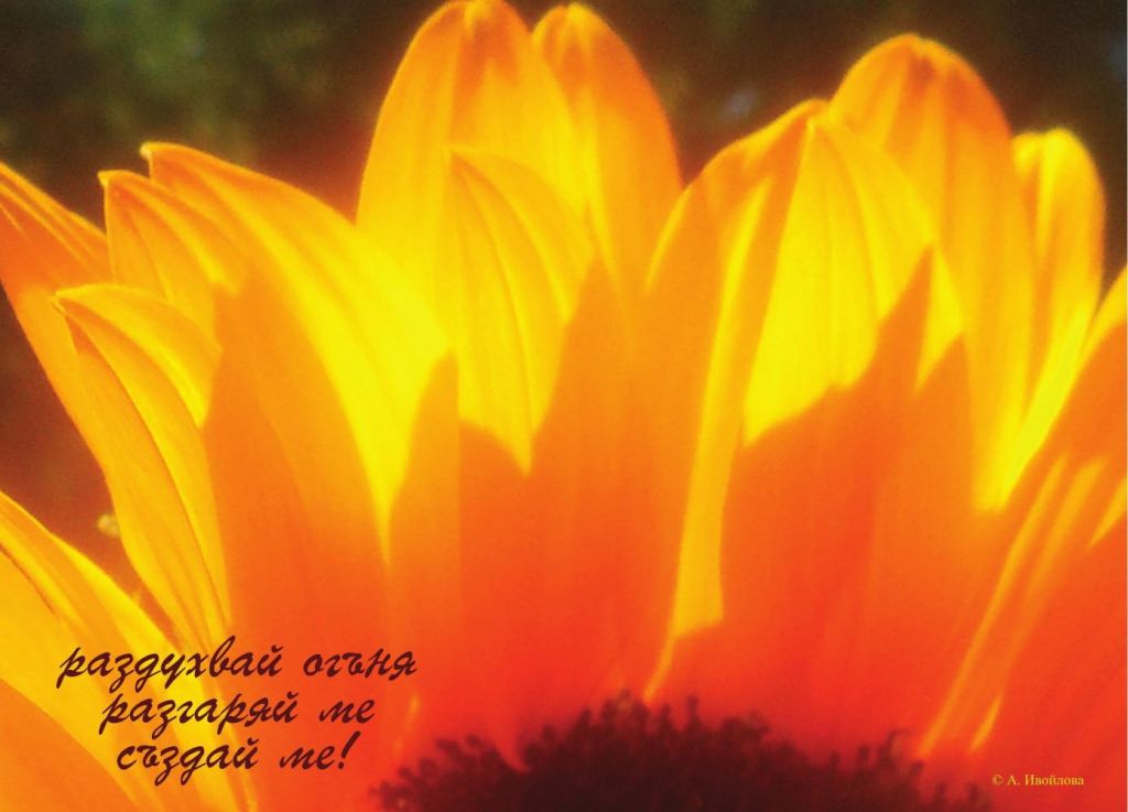 Александра Ивойлова - фотохайга