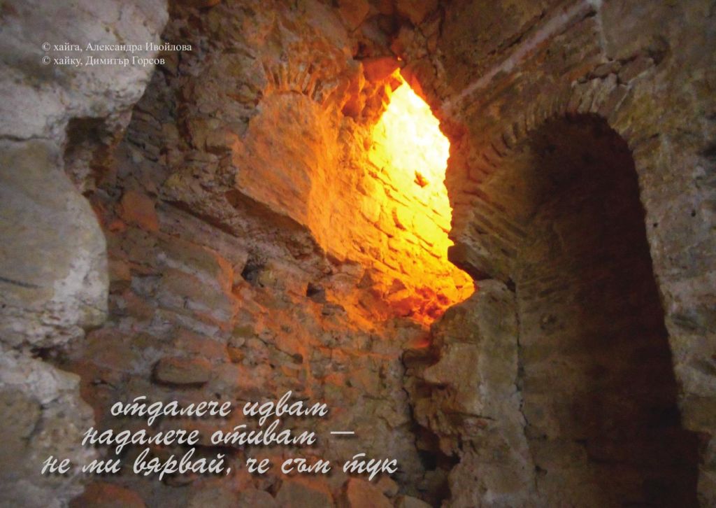 Александра Ивойлова - фотохайга