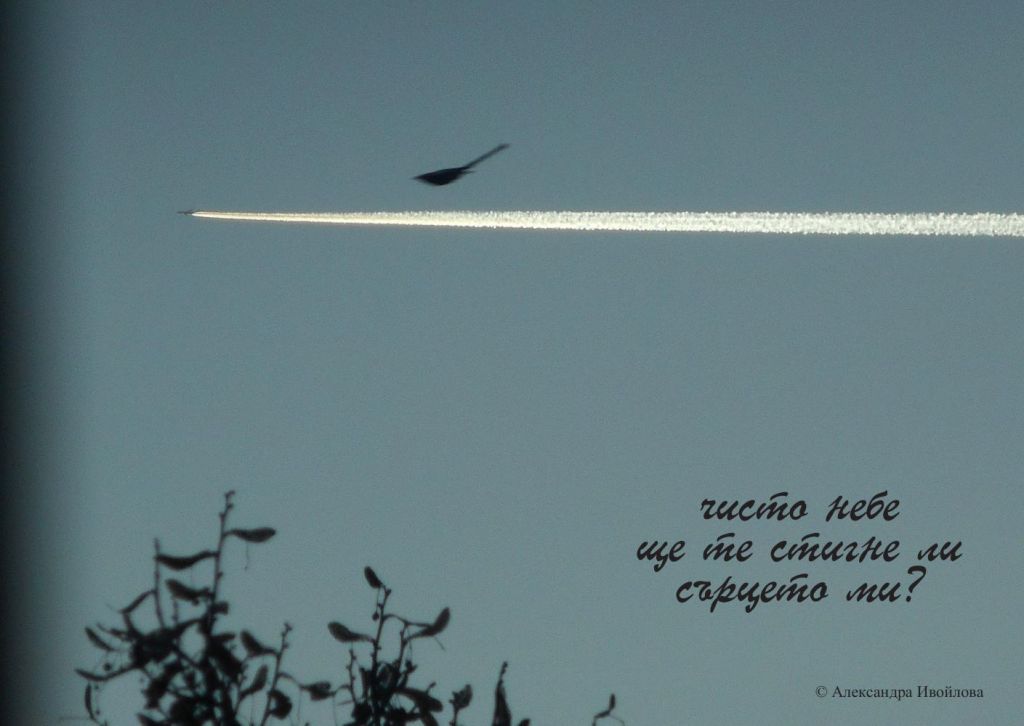 Александра Ивойлова - фотохайга